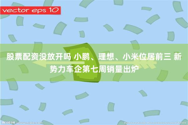 股票配资没放开吗 小鹏、理想、小米位居前三 新势力车企第七周销量出炉