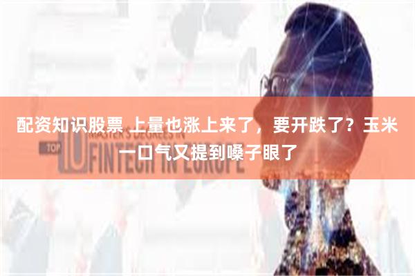 配资知识股票 上量也涨上来了，要开跌了？玉米一口气又提到嗓子眼了