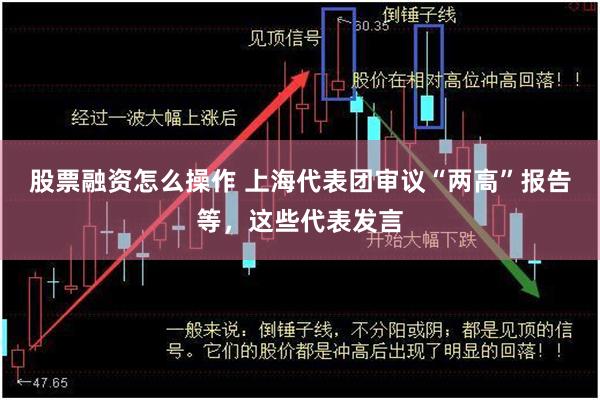 股票融资怎么操作 上海代表团审议“两高”报告等,这些代表发言