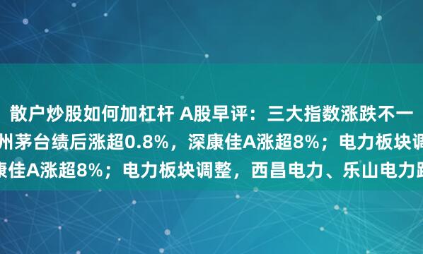 散户炒股如何加杠杆 A股早评:三大指数涨跌不一,沪指跌0.08%,贵州茅台绩后涨超0.8%,深康佳A涨超8%;电力板块调整,西昌电力、乐山电力跌停