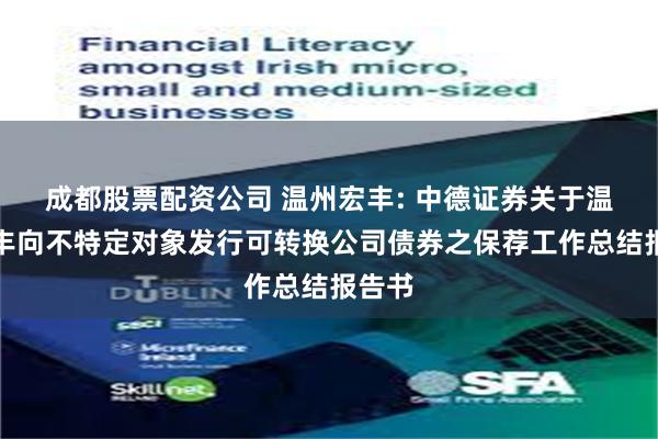 成都股票配资公司 温州宏丰: 中德证券关于温州宏丰向不特定对象发行可转换公司债券之保荐工作总结报告书