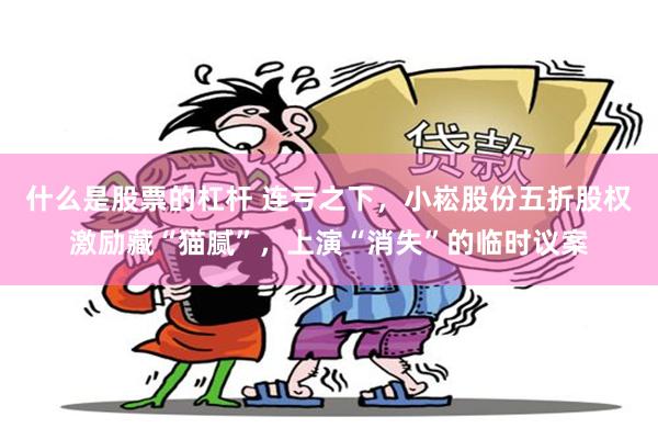 什么是股票的杠杆 连亏之下,小崧股份五折股权激励藏“猫腻”,上演“消失”的临时议案