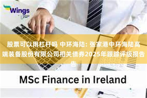 股票可以用杠杆吗 中环海陆: 张家港中环海陆高端装备股份有限公司相关债券2025年跟踪评级报告