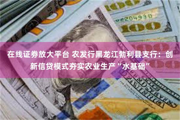 在线证劵放大平台 农发行黑龙江勃利县支行:创新信贷模式夯实农业生产“水基础”