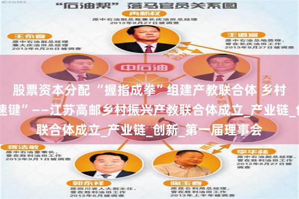 股票资本分配 “握指成拳”组建产教联合体 乡村人才振兴按下“加速键”——江苏高邮乡村振兴产教联合体成立_产业链_创新_第一届理事会