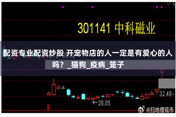 配资专业配资炒股 开宠物店的人一定是有爱心的人吗？_猫狗_疫病_笼子