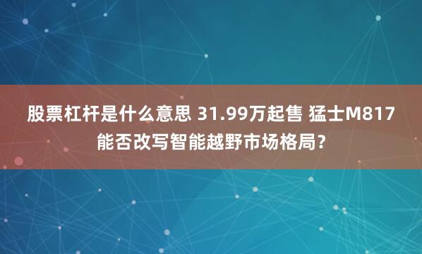 股票杠杆是什么意思 31.99万起售 猛士M817能否改写智能越野市场格局?